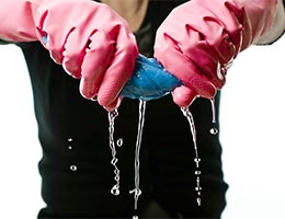 House Cleaning